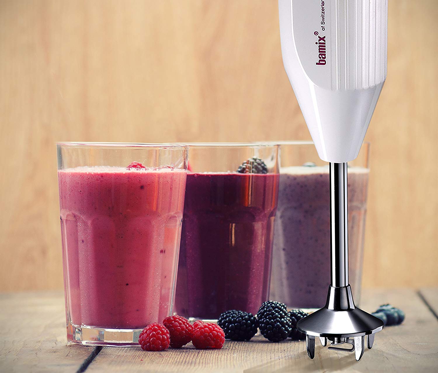 Bamix Pro-2 G200 Immersion Hand Blender