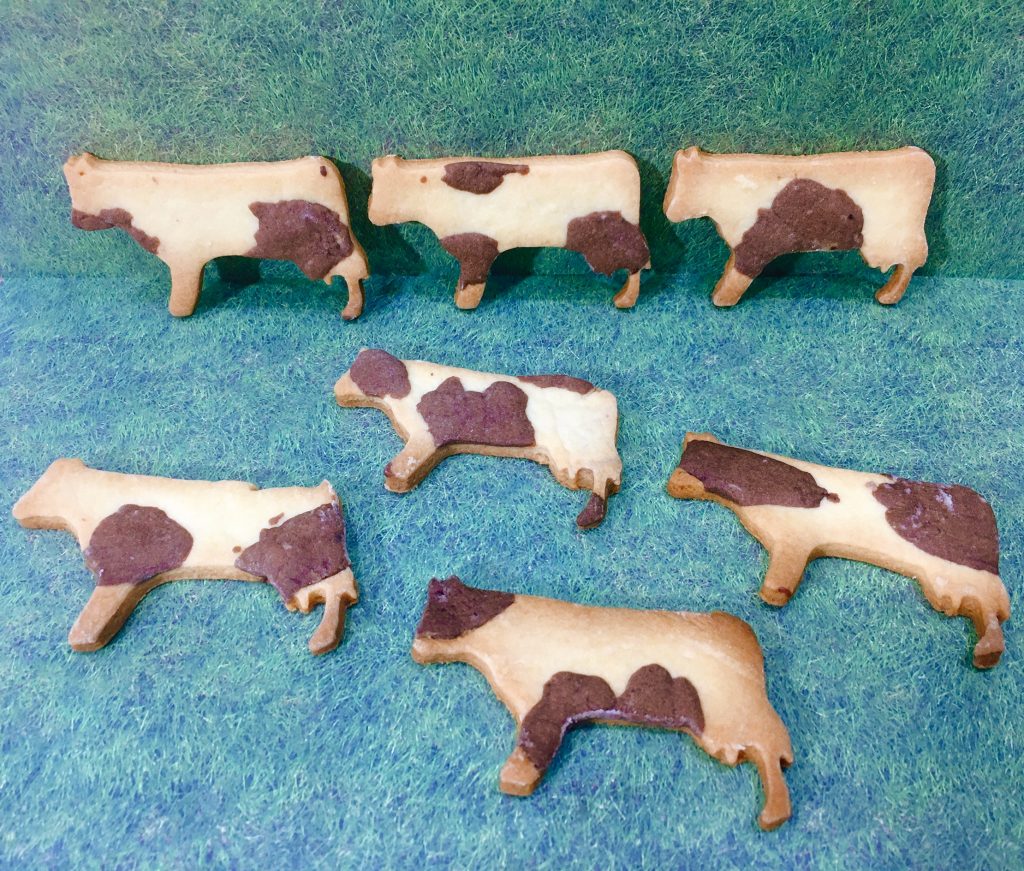 Cow cookies