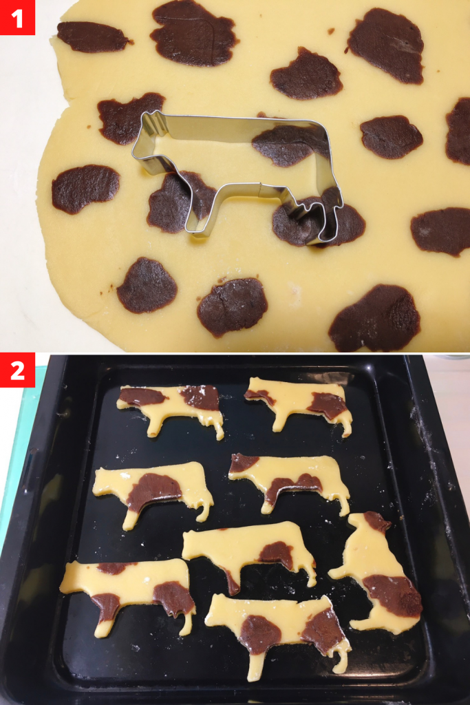 Cut with a cow cookie cutter and line on a baking sheet